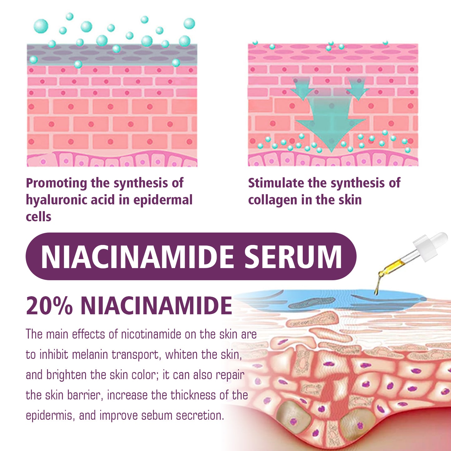 Sérum EELHOE Niacinamide – Sérum Éclaircissant, Anti-Rides & Réducteur de Pores